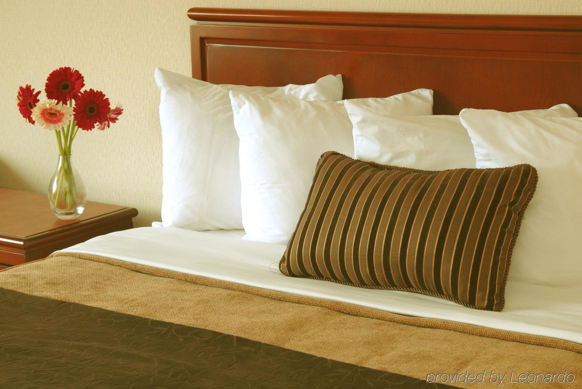 Doubletree By Hilton St. John'S Harbourview Hotel Ruang foto
